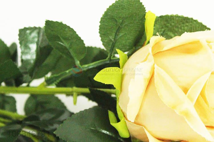 5头浅咖啡(6#色卡)玫瑰花