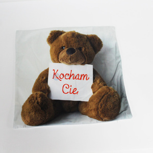 Cute Bear Pattern Square <em>Pillow</em> Case Boster Case