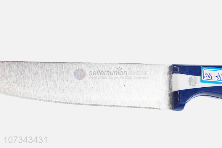 Wholesale Creative Stainless Steel Kitchen Knife With Plastic Handle