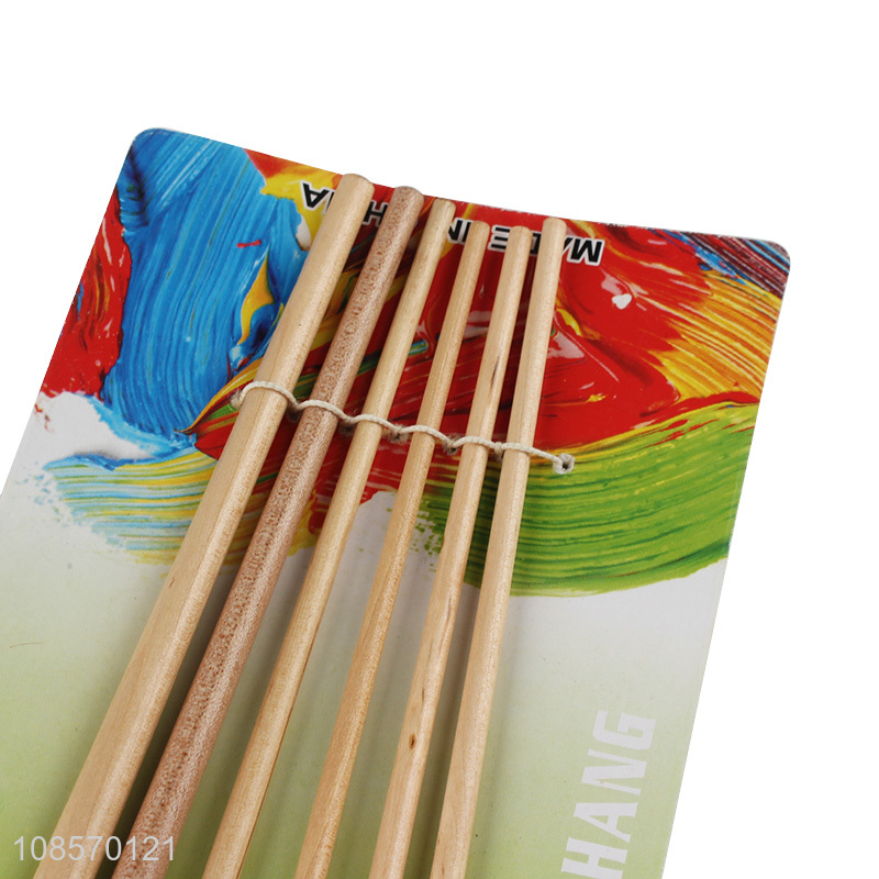 Factory direct sale 6pieces artist drawing brushes set