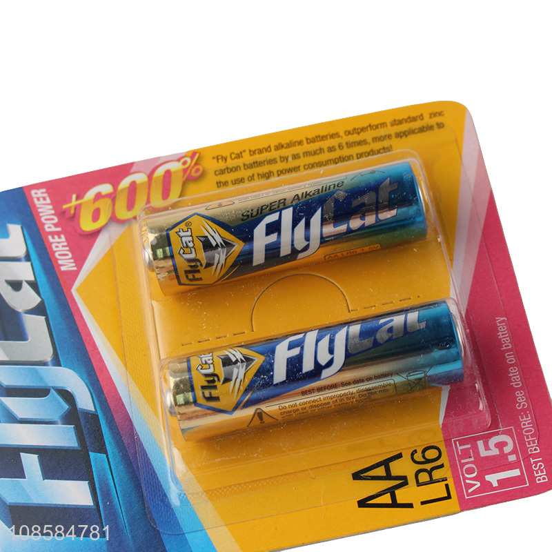 China products 2 pieces 1.5V AA alkaline zinc-manganese batteries