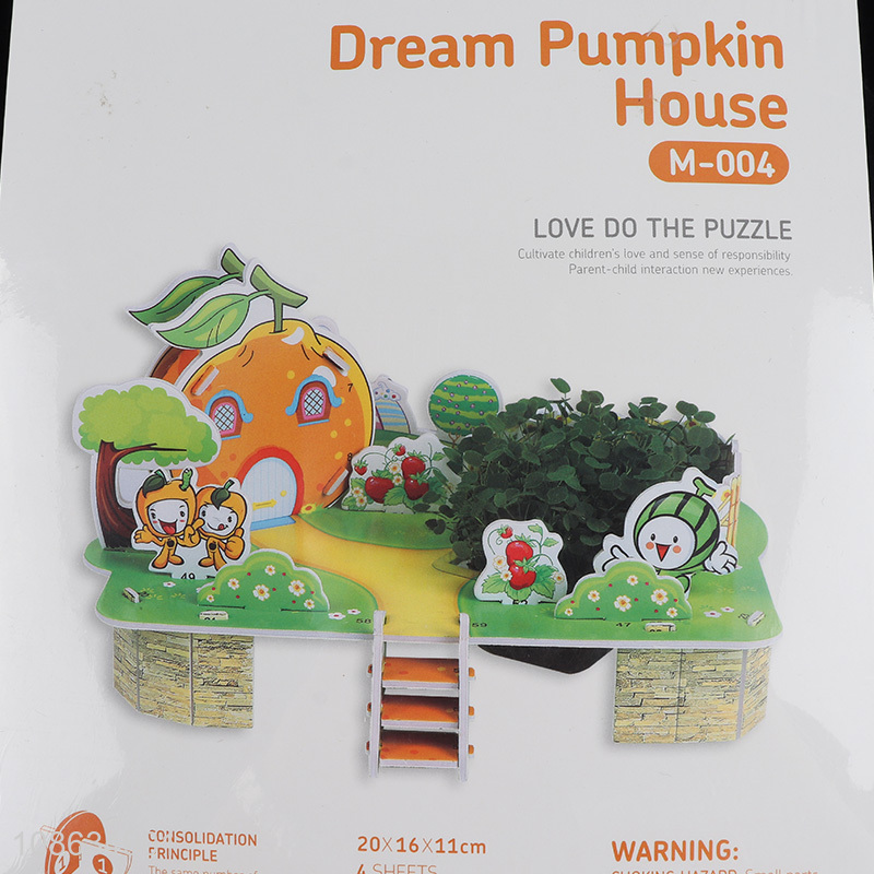Wholesale 3D puzzle dream pumpkin house kids intelligent toy
