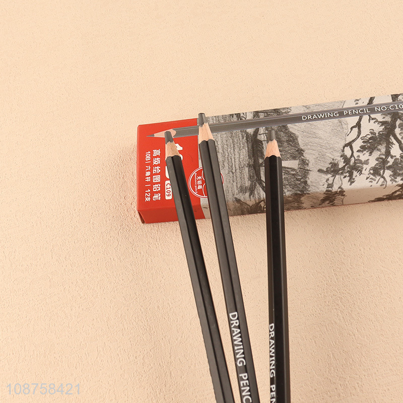 Hot Selling 12 Pieces 10B Graphite Sketch Pencils for Kids Teens