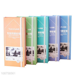 Wholesale 16 pieces advanced charcoal pencils(Soft, medium, hard, extra soft, mixed)