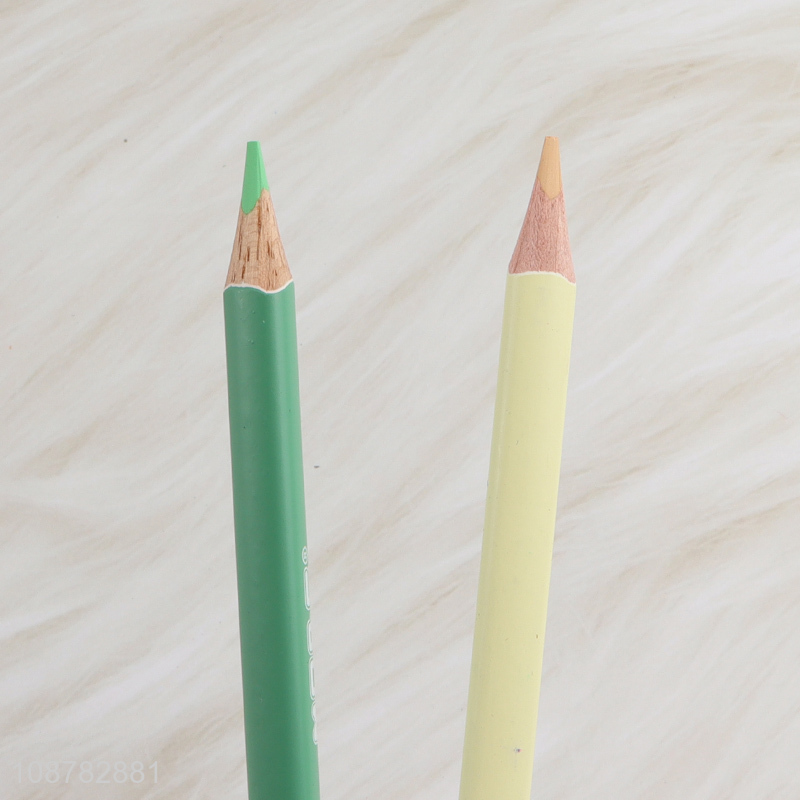Factory price 12pcs 24 color double ended colored pencils