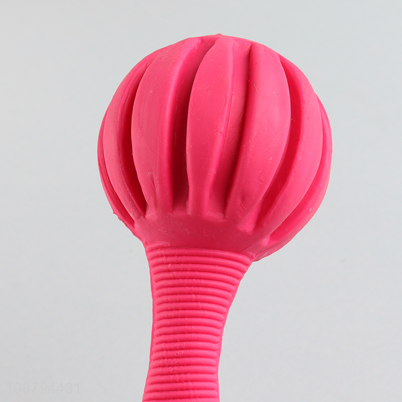 Top quality pets chew toys interactive toys