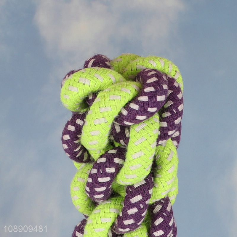 New design pet dog chew toy interactive training toy