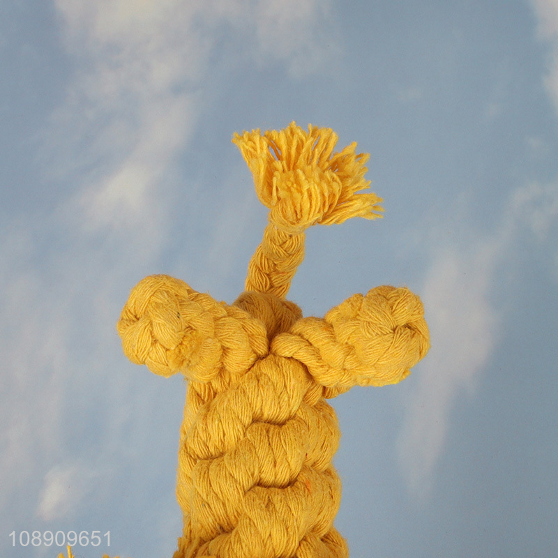 New product lion shape cotton rope pet teeth cleaning chew toy