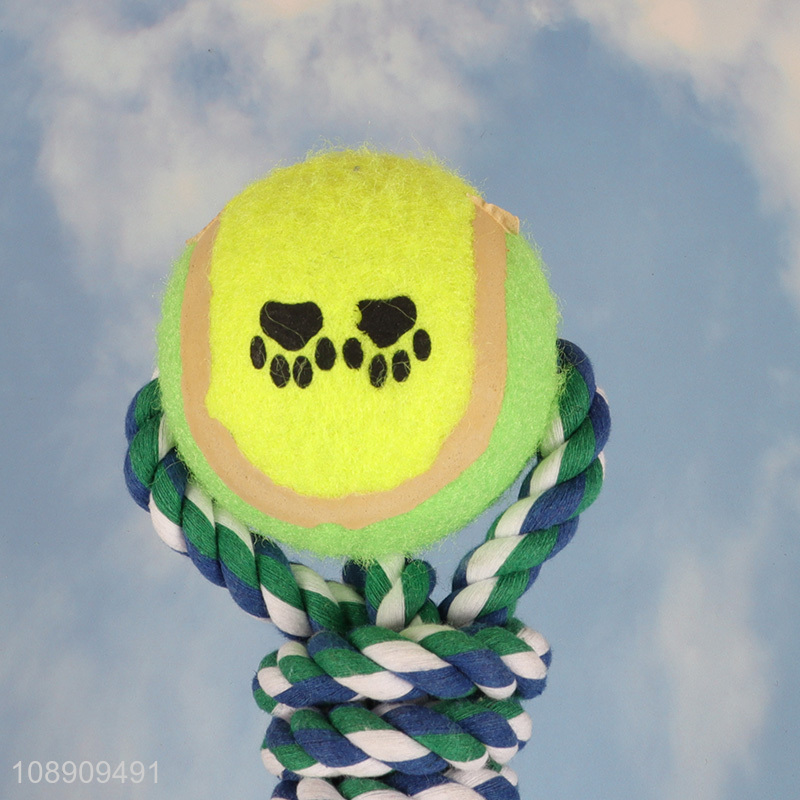 Online wholesale indoor outdoor pet dog interactive toy chew toy