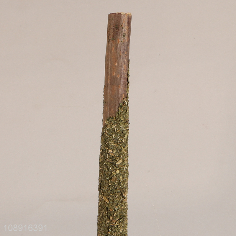 New product 6pcs cat mint sticks cat teething grinding cleaning toy