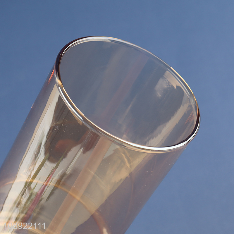 New product living room decoration glass flower vase hydroponic vase