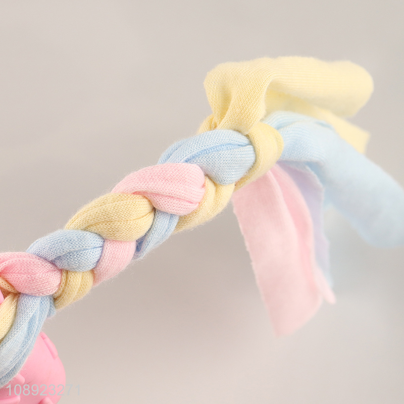 Top quality bite-resistant indoor outdoor pet dog chew toy training toy