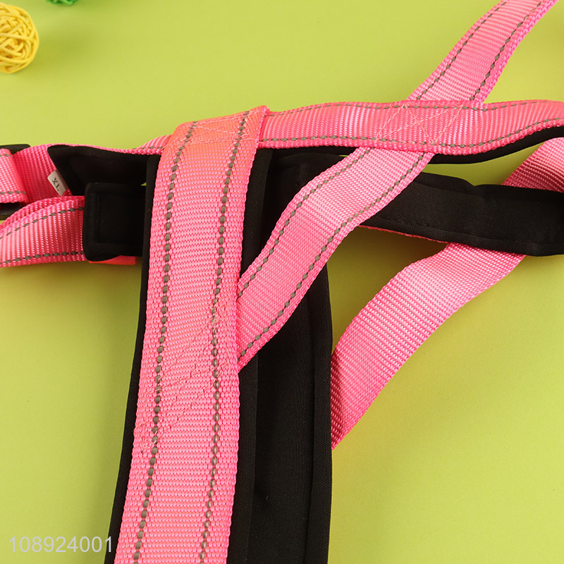 Online wholesale outdoor training adjustable dog harness and leash set