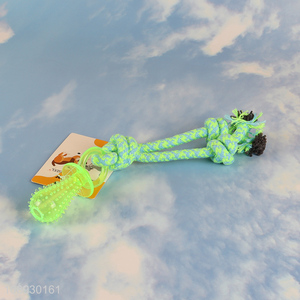 Hot Selling Interactive Pet Dog Toy Puppy Chew Toy for Teething