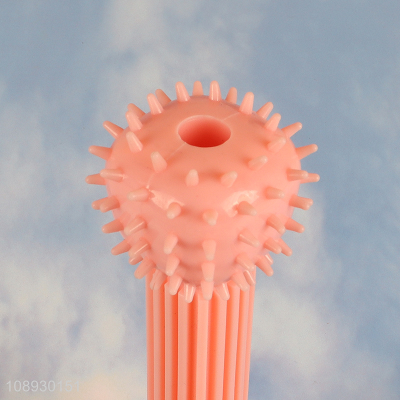 New Arrival Spiky Bone Dog Squeaky Toy Dog Chew Teething Toy