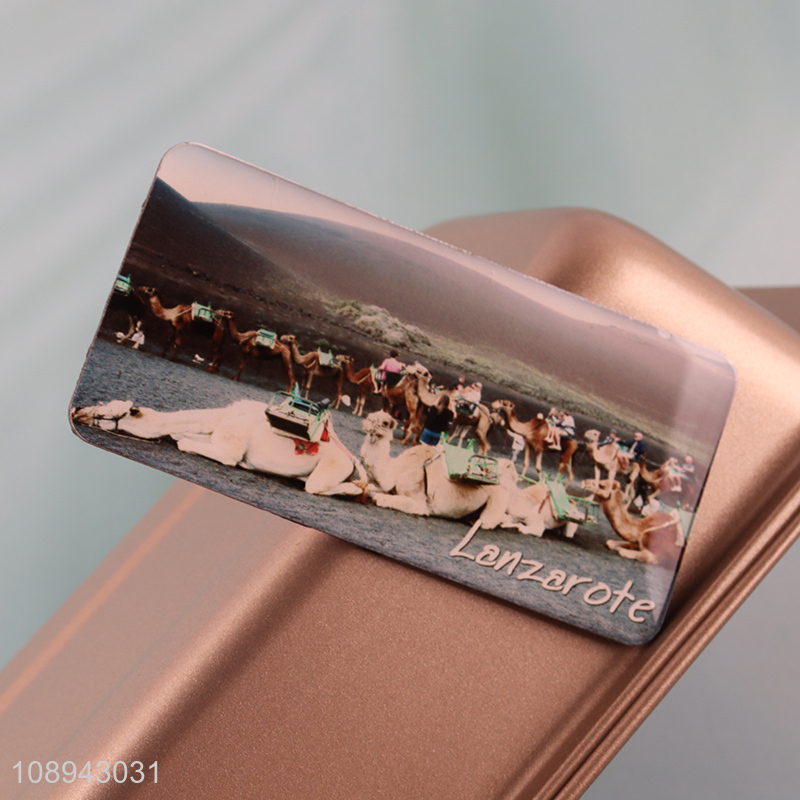 Hot selling decorative crafts epoxy fridge magnet wholesale