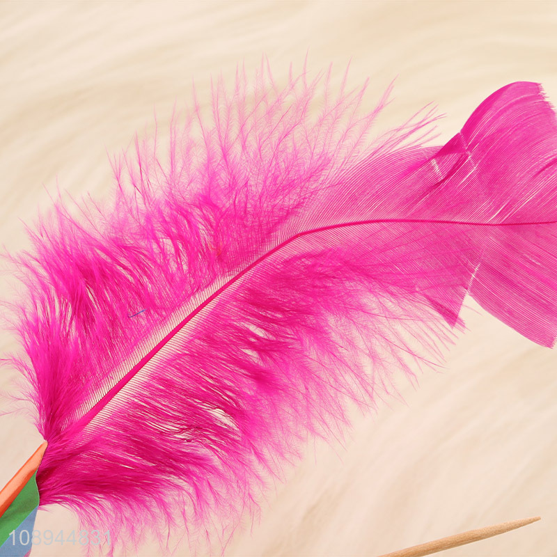 Hot Sale 4PCS Fancy Feather Corktail Picks Fruit Toothpicks