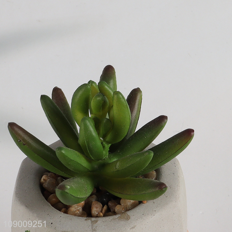 Top quality tabletop decor natural artificial potted succulent plants for sale
