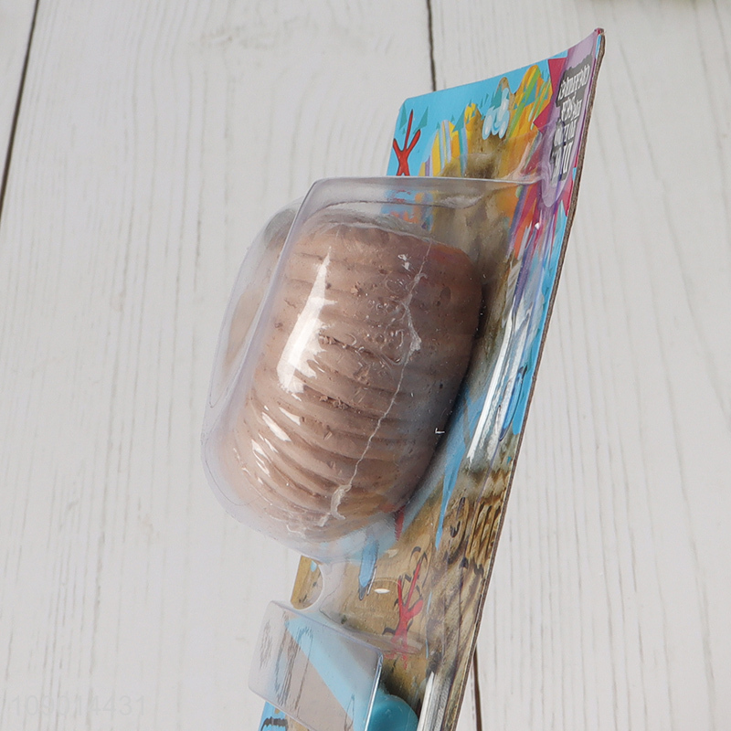 Online wholesale sea shell excavation digging kit educational toys for kids