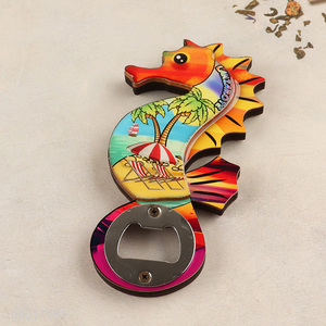 Good Quality Magnetic Bottle Opener <em>Fridge</em> <em>Magnet</em> Bottle Opener Lanzarote Souvenir