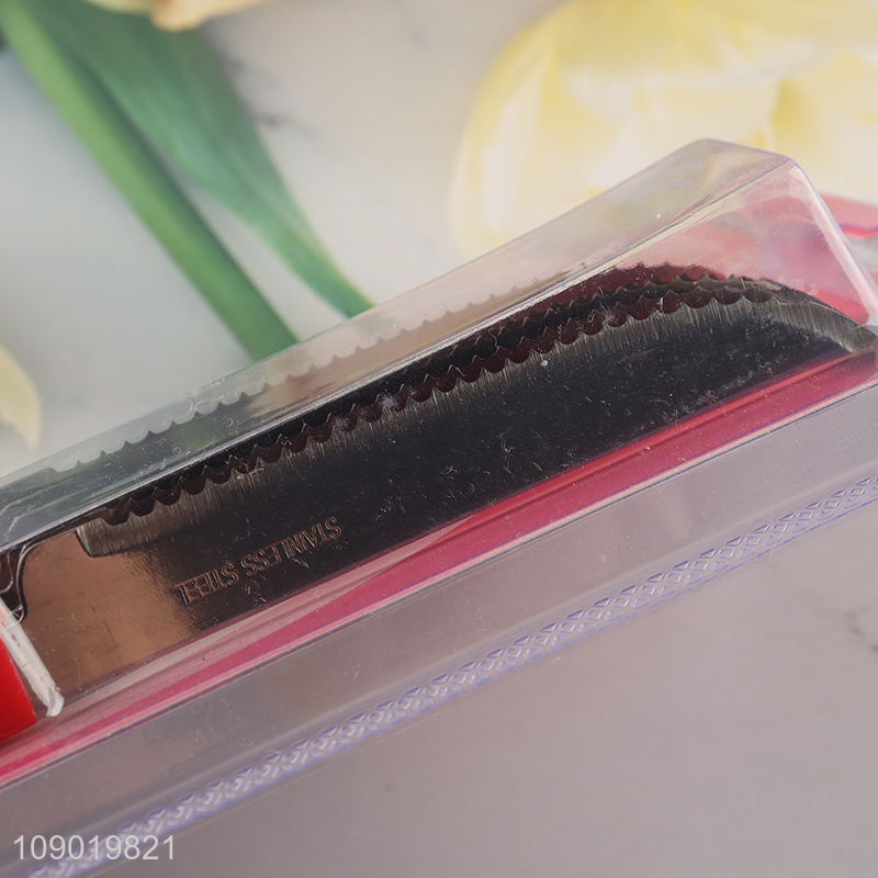 Good Quality 6PCS Steak Knives Plastic Handle Stainless Steel Steak Knives