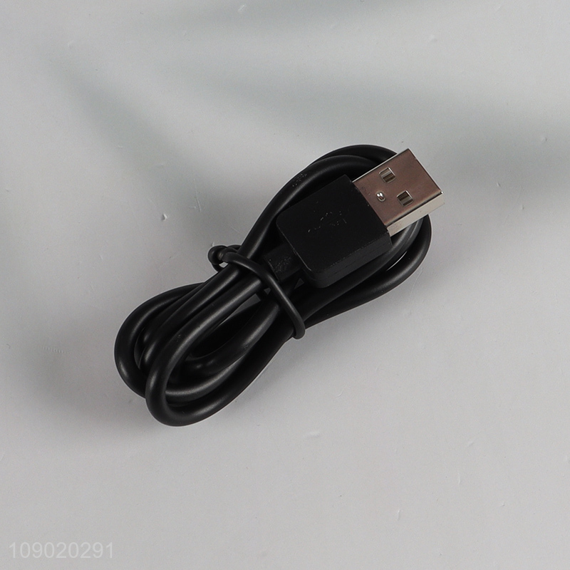 Top products hand held electric frother rechargeable blender milk frother