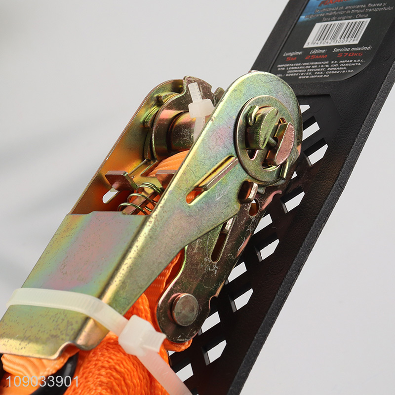 Hot products professional 5m polyester ratchet tie down set