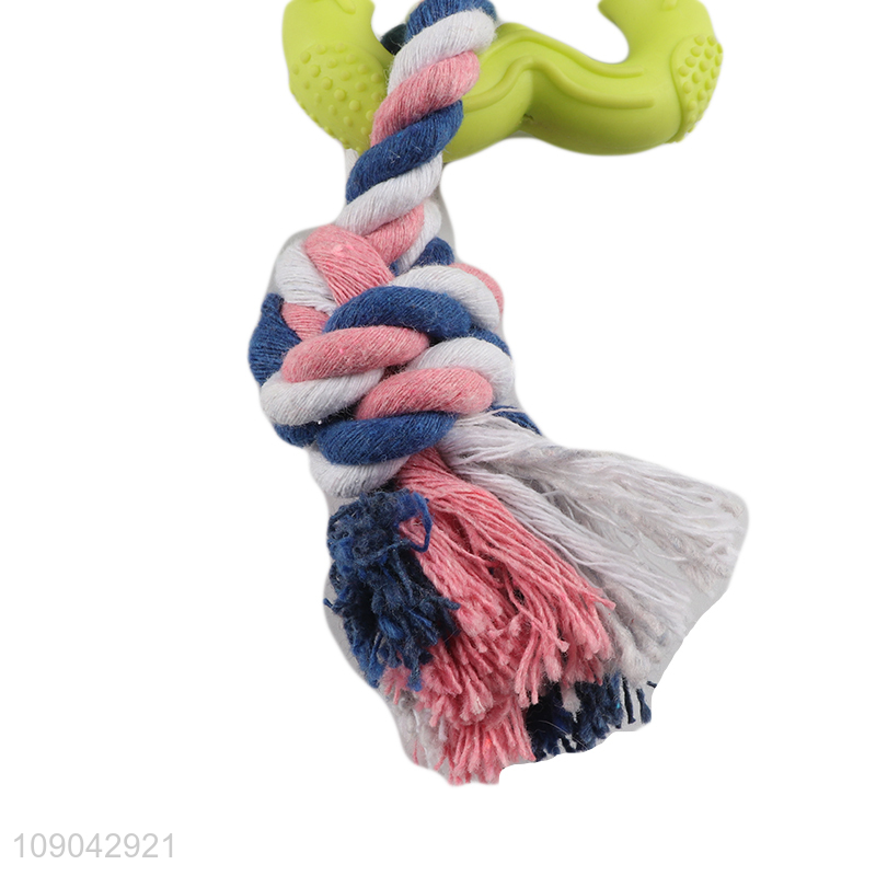 New Arrival Pet Dog Chew Toys Pet Training Toys Pet Supplies