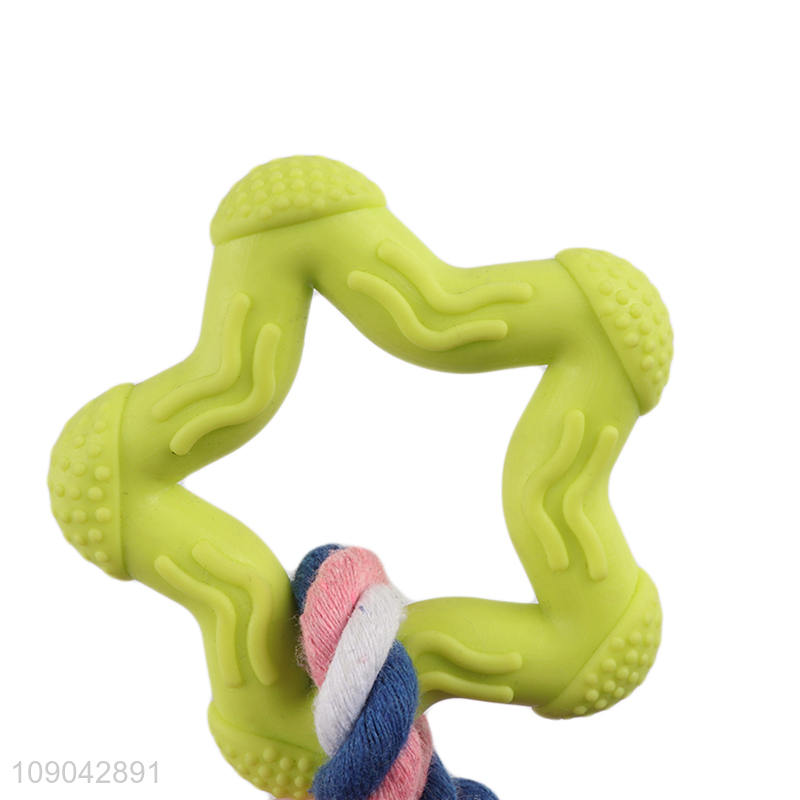 New Product Bit Resistant Pet Chew Toys Dog Training Toys