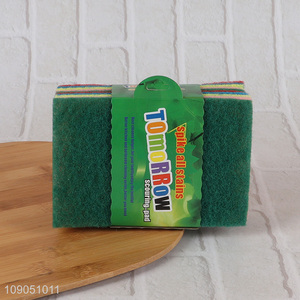 New Arrival 10 Pieces Non-Scratch Scouring Pads for Oven Barbecue Grill