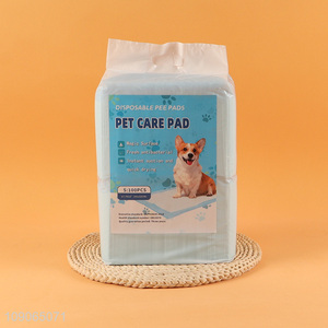 Most popular 100pcs magic surface disposable pet care pad pet pee pad