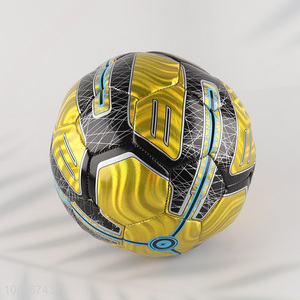 Factory Price Size 5 Professional Training PVC Soccer Ball