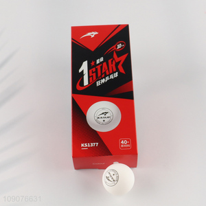 New arrival professional training 10pcs table tennis set for sale