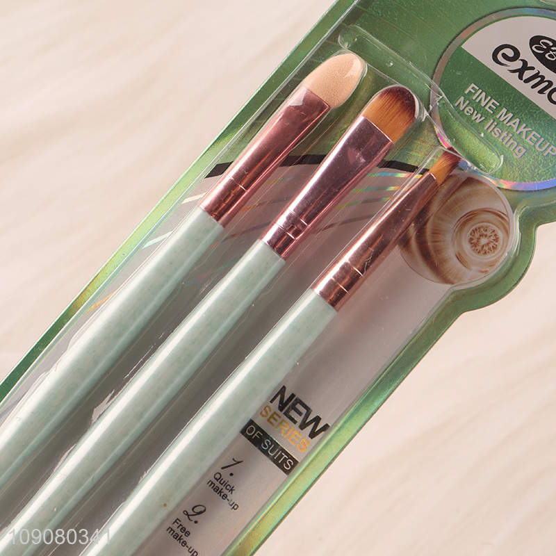 Top selling 3pcs professional makeup tool makeup brush set for women