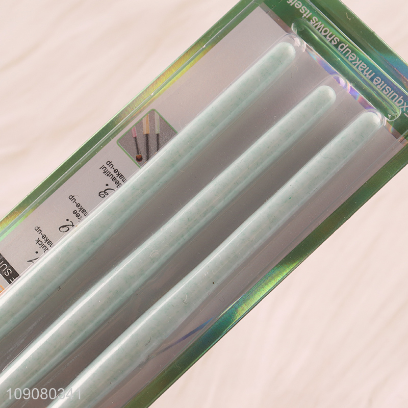 Top selling 3pcs professional makeup tool makeup brush set for women