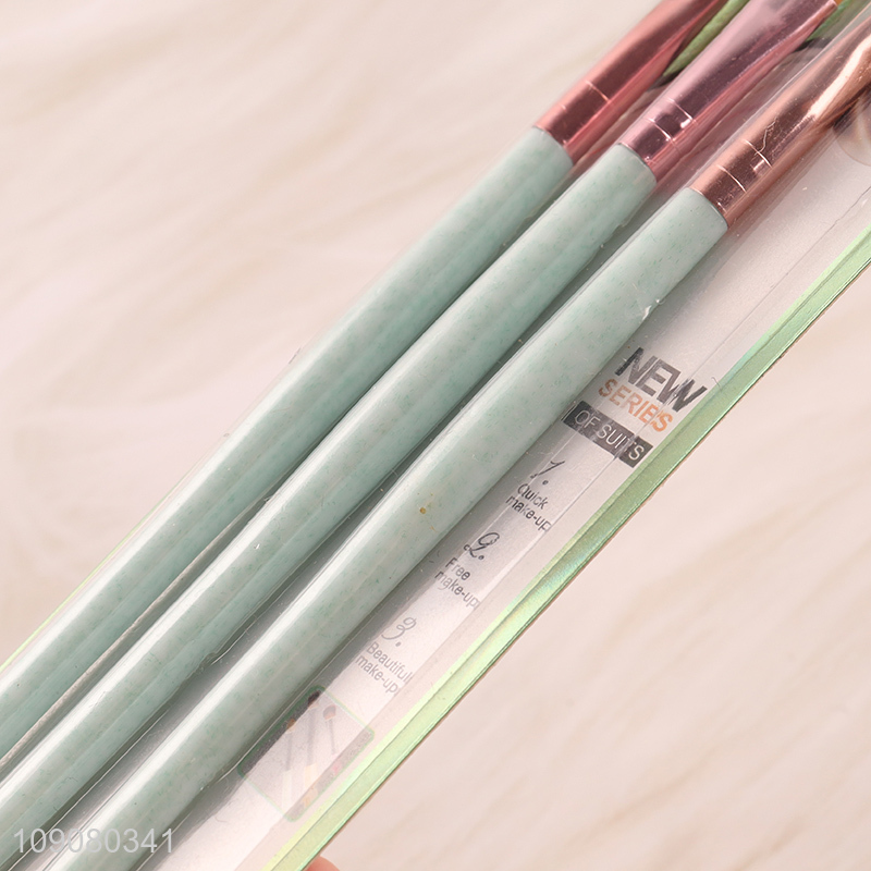 Top selling 3pcs professional makeup tool makeup brush set for women