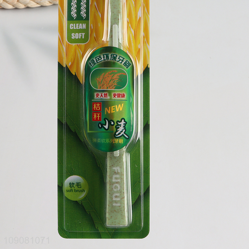 Factory Price Soft Bristles Manual Toothbrush for Men and Women