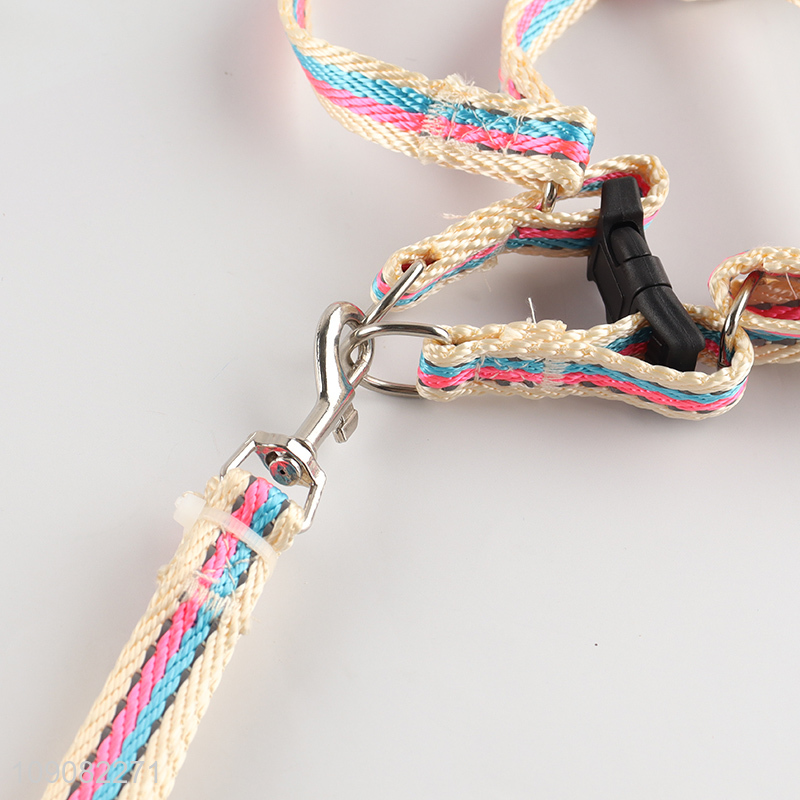 Hot products outdoor pets dog polyester pet collar leash