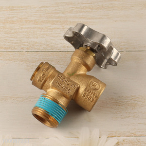 New arrival gas burner cooker valve gas pressure regulator burner parts