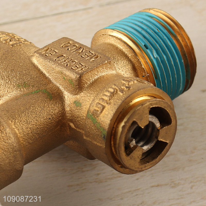 New arrival gas burner cooker valve gas pressure regulator burner parts