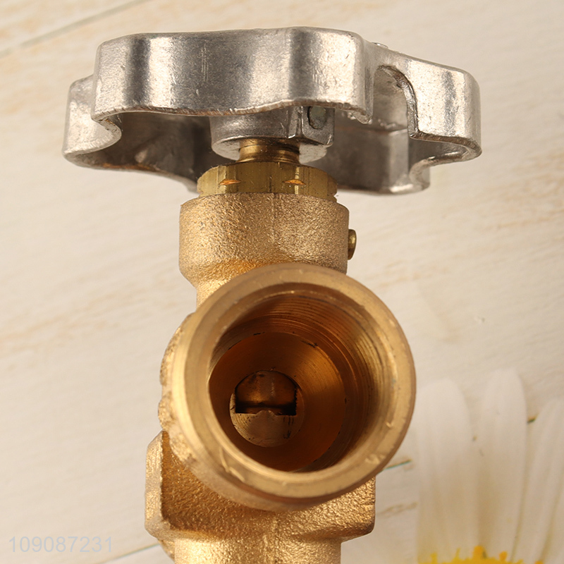 New arrival gas burner cooker valve gas pressure regulator burner parts