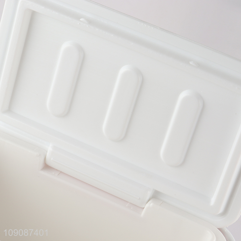 Wholesale 4L Rectangular Plastic Cooler Box Portable Hard Cooler Box