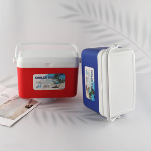 Wholesale 4L Rectangular Plastic Cooler Box Portable Hard Cooler Box