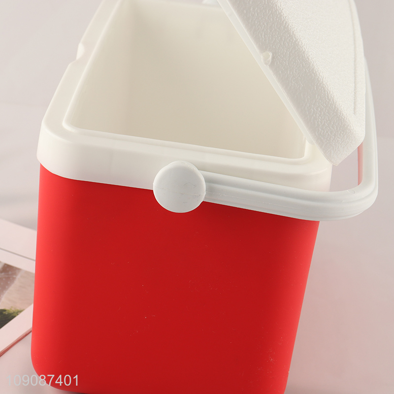 Wholesale 4L Rectangular Plastic Cooler Box Portable Hard Cooler Box