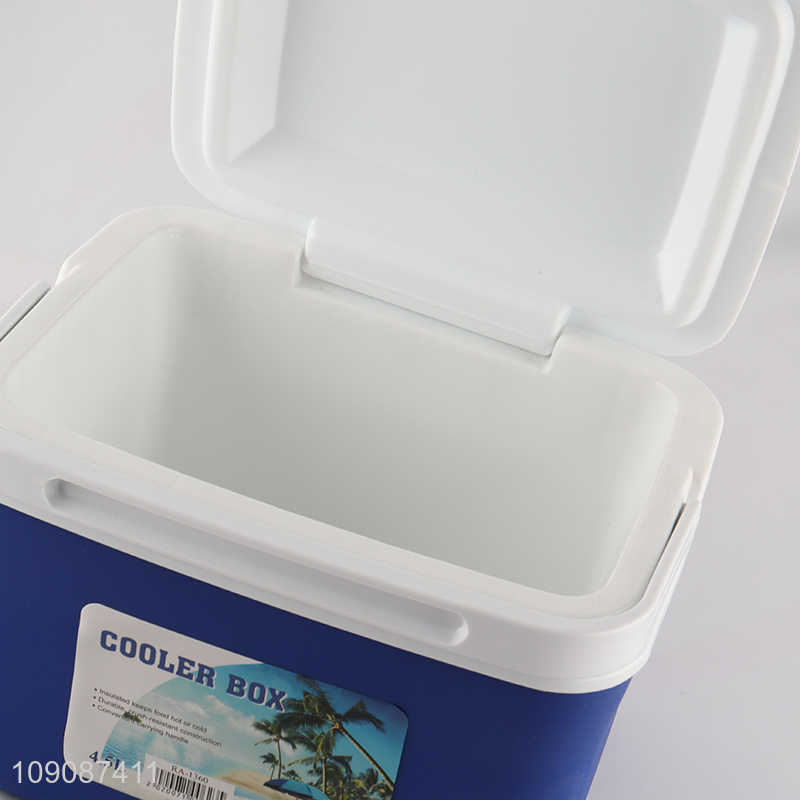 New Arrival 4.5L Rectangular Plastic Cooler Box Portable Ice Box