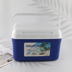Good Quality 8L Rectangular Portable Insualted Plastic Cooler Box