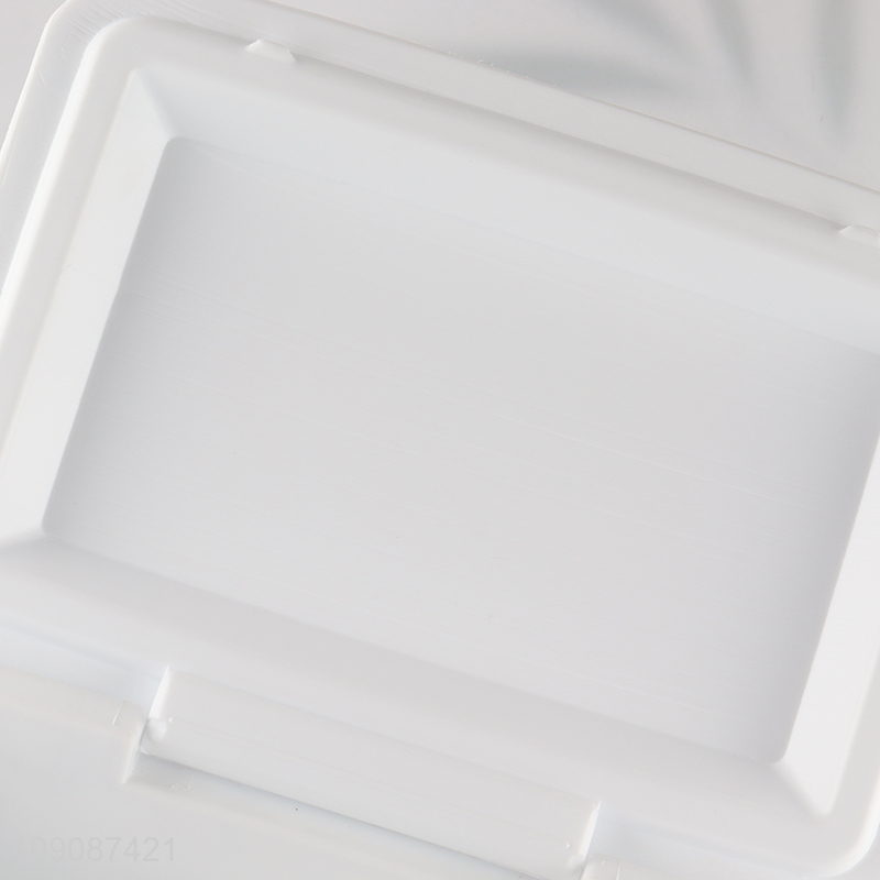 Good Quality 8L Rectangular Portable Insualted Plastic Cooler Box