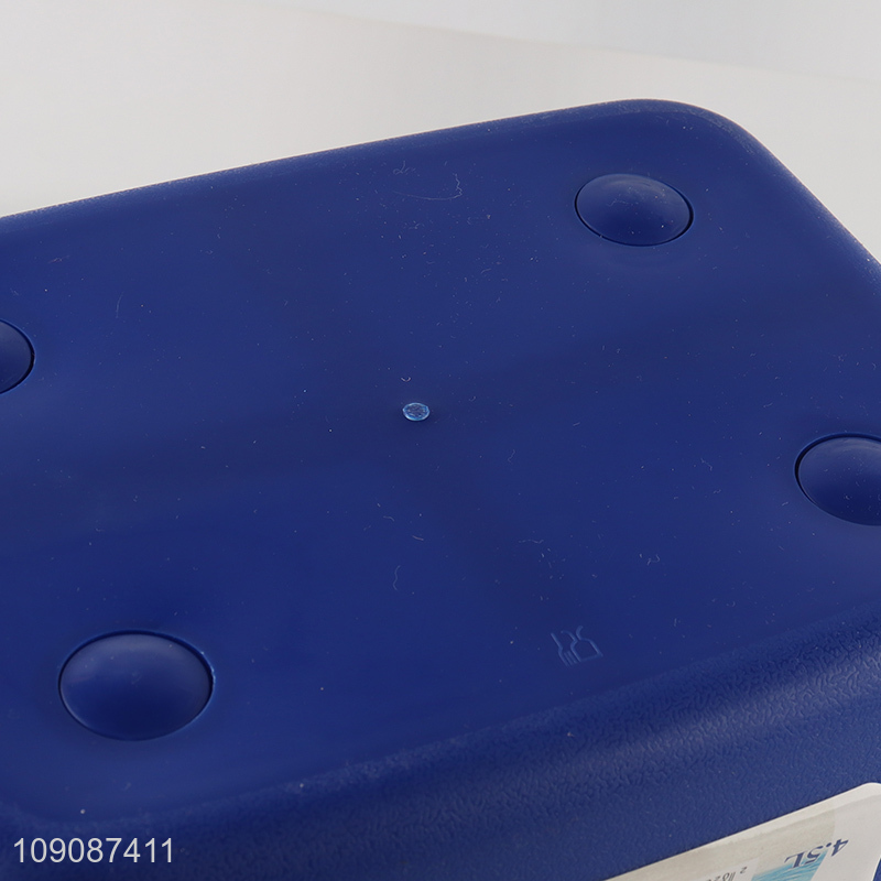 New Arrival 4.5L Rectangular Plastic Cooler Box Portable Ice Box