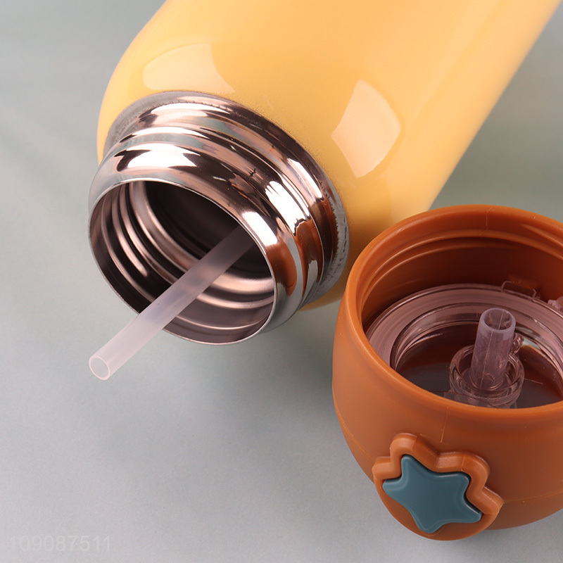 Wholesale 550ML Stainless Steel Insulated Water Bottle with Water Bottle Carrier Bag for Kids