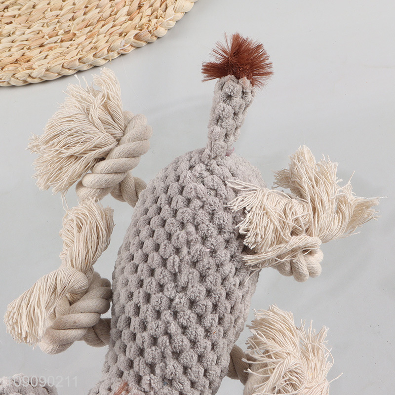 Most popular pets chew toys bite-resistant teeth cleaning toys